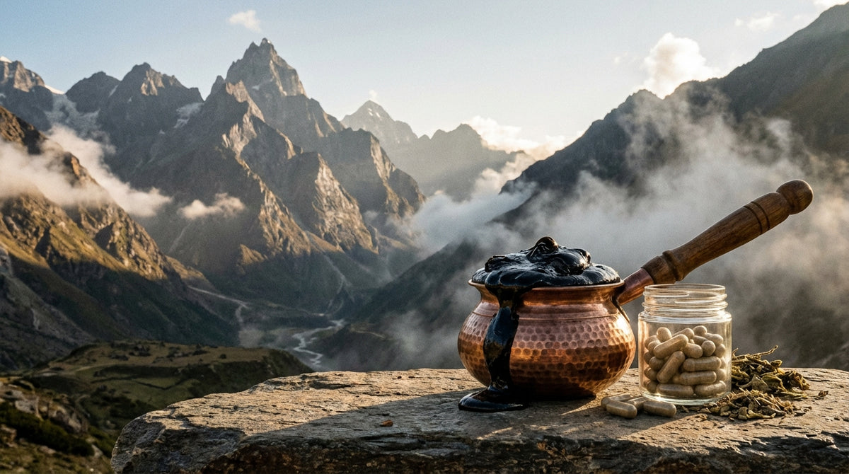 Shilajit: The Himalayan Resin Supplement With Surprisingly Real Research