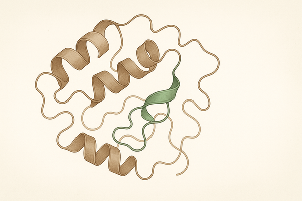 AOD-9604: The Growth Hormone Fragment for Metabolic Research
