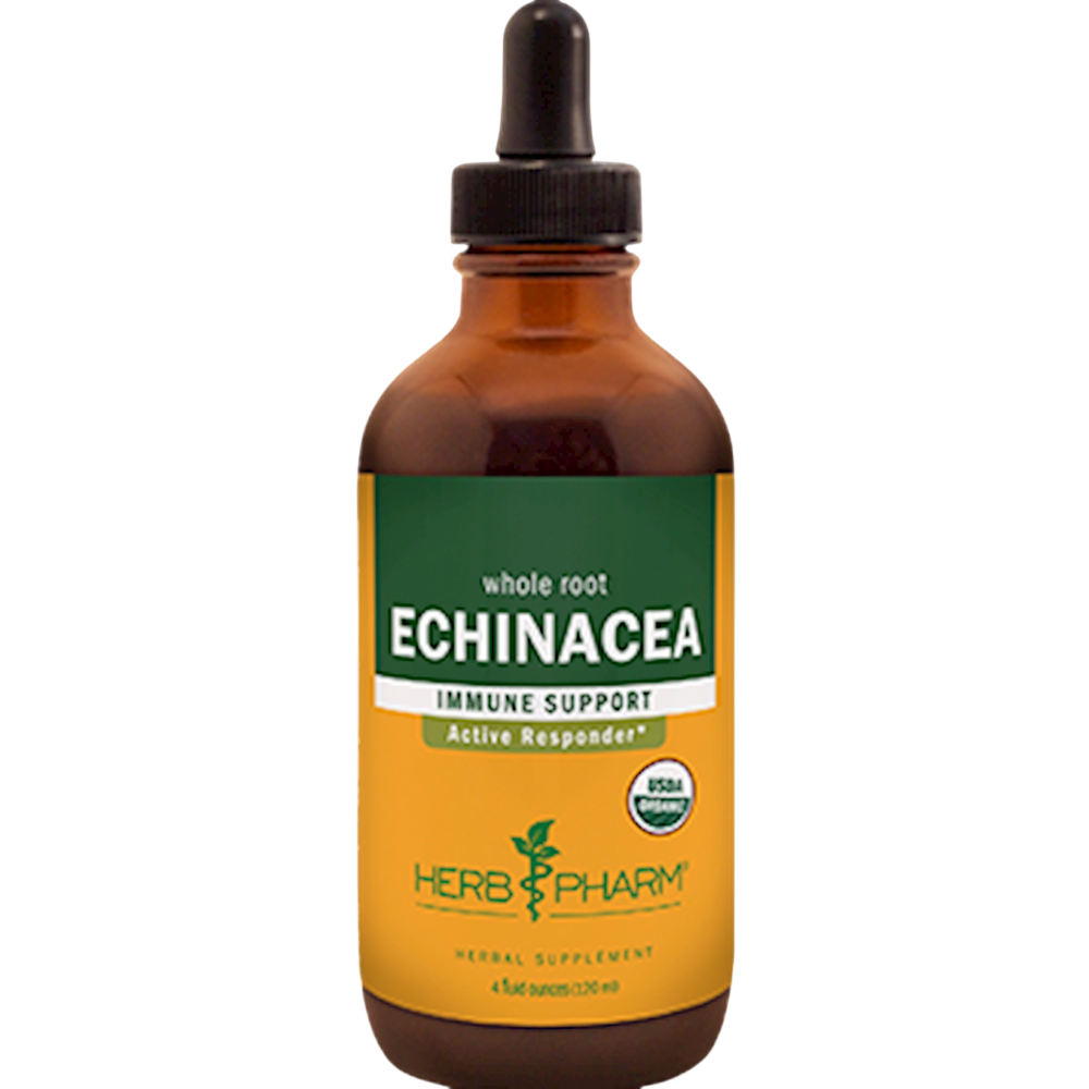 Echinacea front