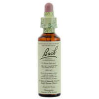Nelson Bach - Walnut