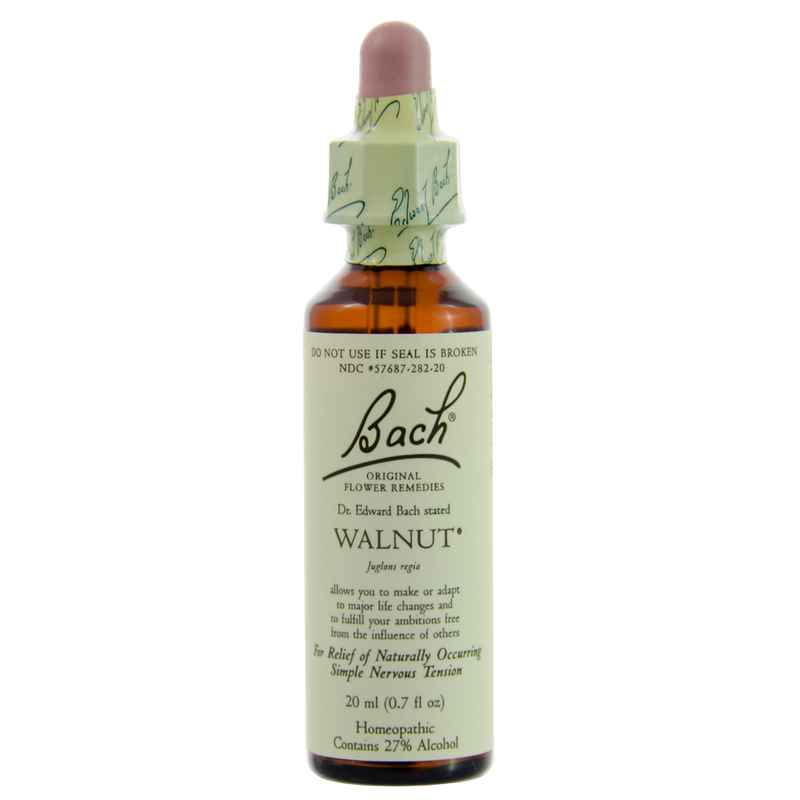 Nelson Bach - Walnut