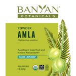 Banyan Botanicals - Amalaki Fruit Powder, Organic — view 1