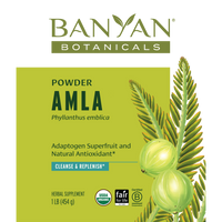 Banyan Botanicals - Amalaki Fruit Powder, Organic