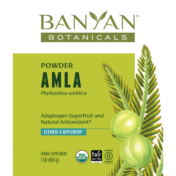 Banyan Botanicals - Amalaki Fruit Powder, Organic