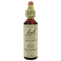 Nelson Bach - Mustard, 20 ml