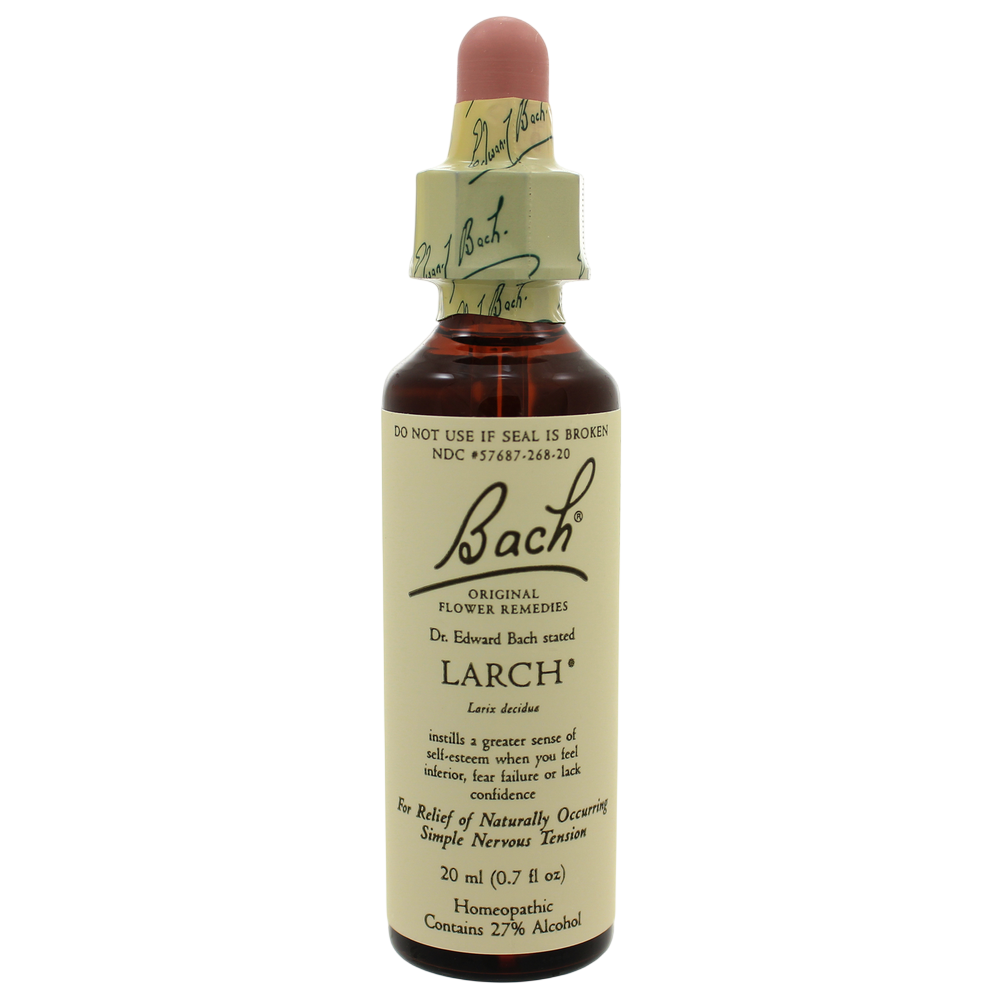 Nelson Bach - Larch