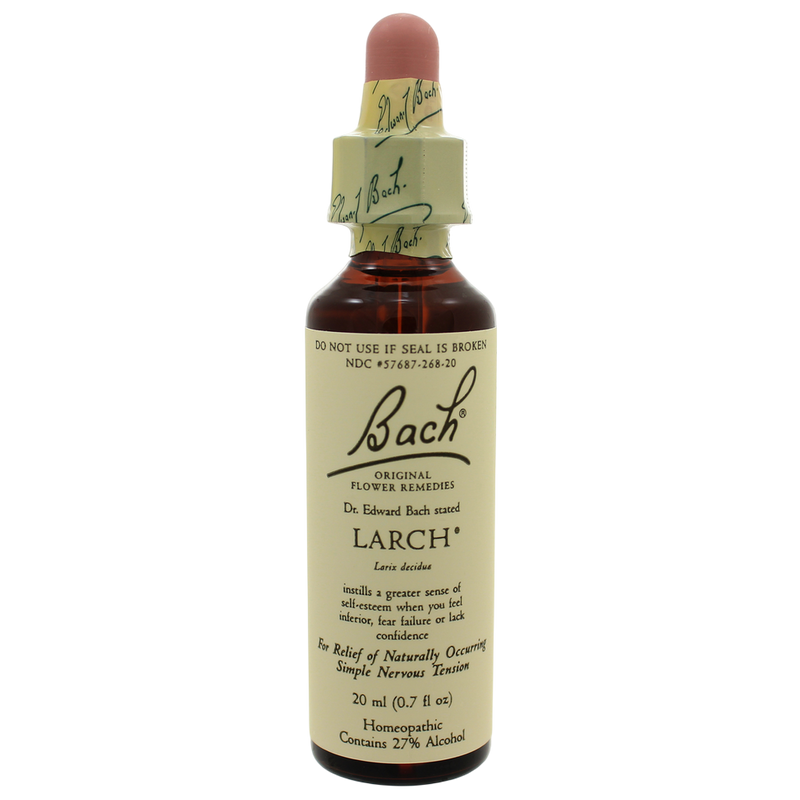 Nelson Bach - Larch