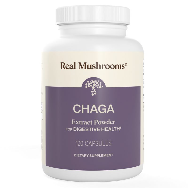 Real Mushrooms - Chaga Extract Capsules