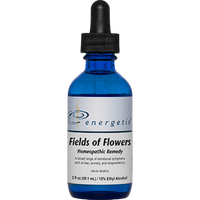 Energetix - Fields of Flowers