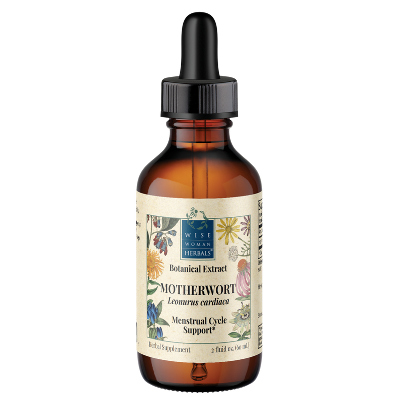 Wise Woman Herbals - Leonurus cardiaca - motherwort