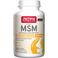 Jarrow Formulas - MSM Sulfur 1000mg