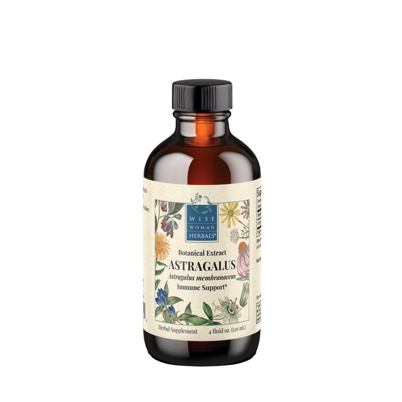 Wise Woman Herbals - Astragalus membranaceus 120 Milliliters