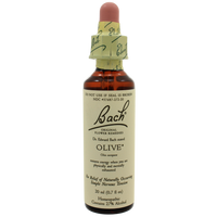 Nelson Bach - Olive