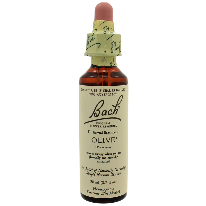 Nelson Bach - Olive