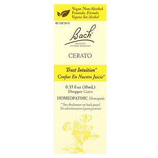 Nelson Bach - Cerato
