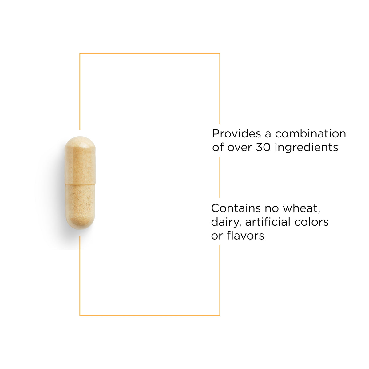Integrative Therapeutics Detoxication Factors™