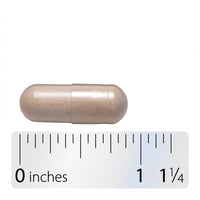Integrative Therapeutics - Enterogenic Intensive 100