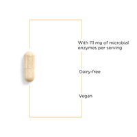 Integrative Therapeutics - Lipase Concentrate-HP