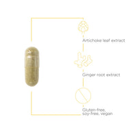 Integrative Therapeutics - Motility Activator