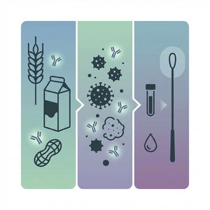 184 Food Panel (IgG) (Test)