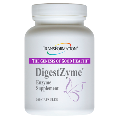 Transformation Enzymes - DigestZyme