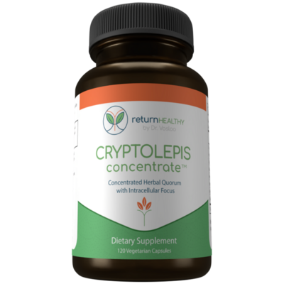 Return Healthy - Cryptolepis Concentrate