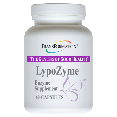 Transformation Enzymes - LypoZyme™