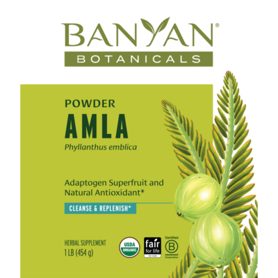 Banyan Botanicals - Amalaki Fruit Powder, Organic