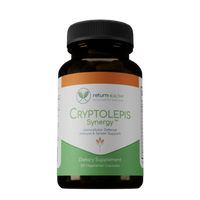 Return Healthy - Cryptolepis Synergy