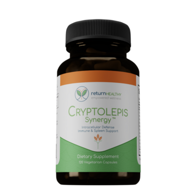 Return Healthy - Cryptolepis Synergy