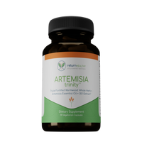 Return Healthy - Artemisia Trinity