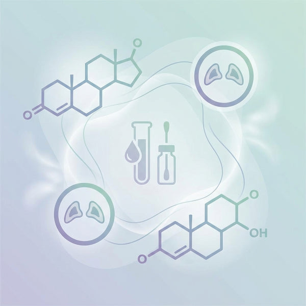 Male Hormone Panel (Test)