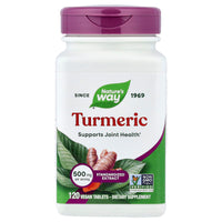 Nature's Way - Turmeric Standardized 450mg