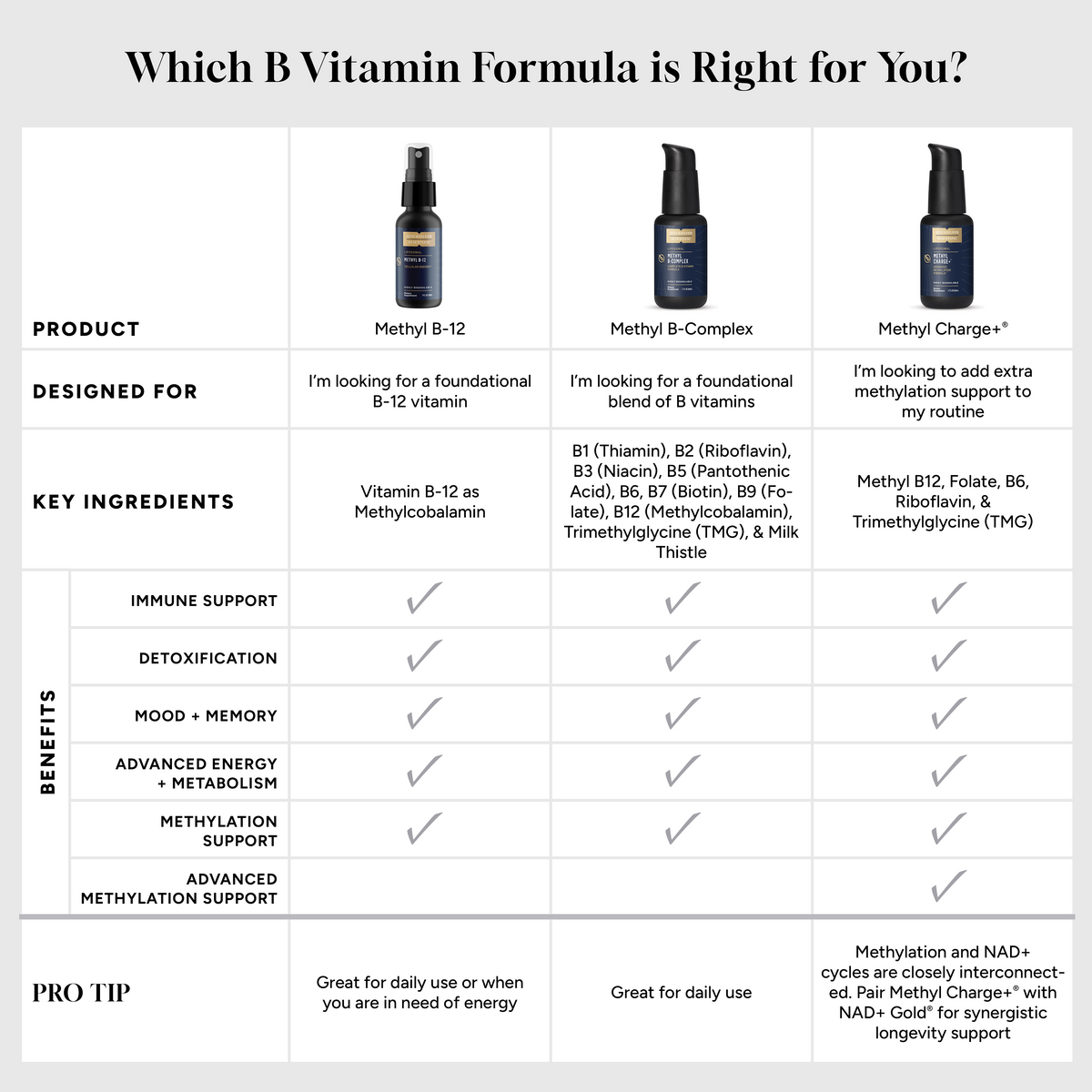 Quicksilver Scientific Liposomal Methyl B-Complex + Lemon Raspberry — view 3