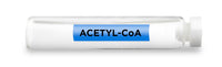 CellCore Biosciences - ACETYL-CoA -Vial
