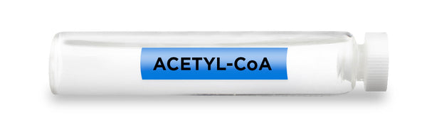 CellCore Biosciences - ACETYL-CoA -Vial