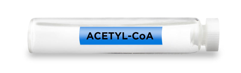 CellCore Biosciences - ACETYL-CoA -Vial