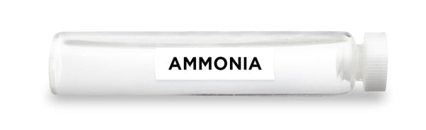 CellCore Biosciences - AMMONIA -Vial
