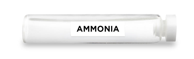 CellCore Biosciences - AMMONIA -Vial