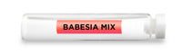 CellCore Biosciences - BABESIA MIX -Vial