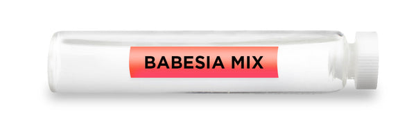 CellCore Biosciences - BABESIA MIX -Vial