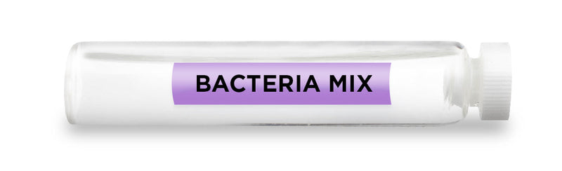 CellCore Biosciences - BACTERIA MIX -Vial