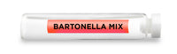 CellCore Biosciences - BARTONELLA MIX -Vial