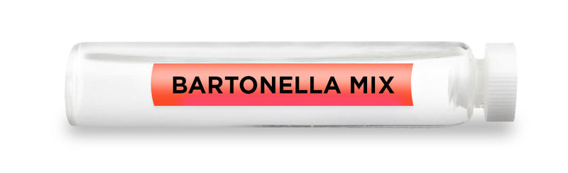 CellCore Biosciences - BARTONELLA MIX -Vial
