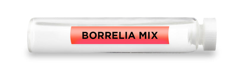 CellCore Biosciences - BORRELIA MIX -Vial