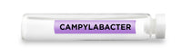 CellCore Biosciences - CAMPYLABACTER -Vial
