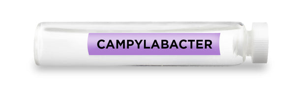 CellCore Biosciences - CAMPYLABACTER -Vial