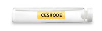 CellCore Biosciences - CESTODE -Vial