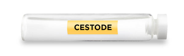 CellCore Biosciences - CESTODE -Vial