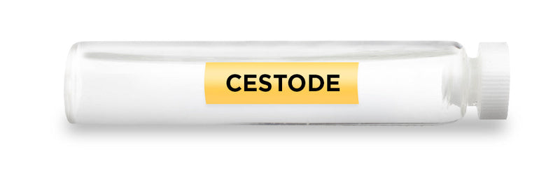 CellCore Biosciences - CESTODE -Vial